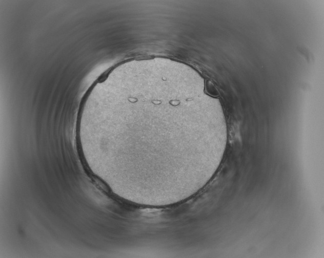 X0000113900052200910221446