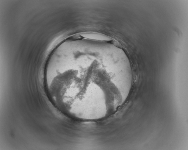 X0000113900053200910221446