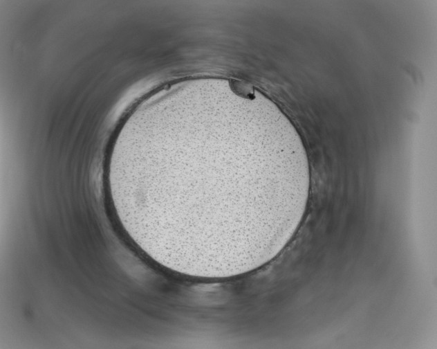 X0000113900054200910221446