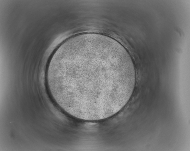 X0000113900055200910221446