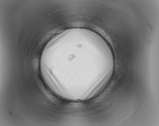 X0000113900057200910221446