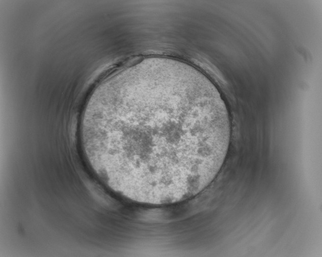 X0000113900058200910221446