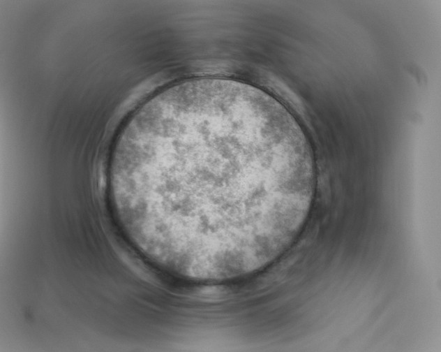 X0000113900059200910221446