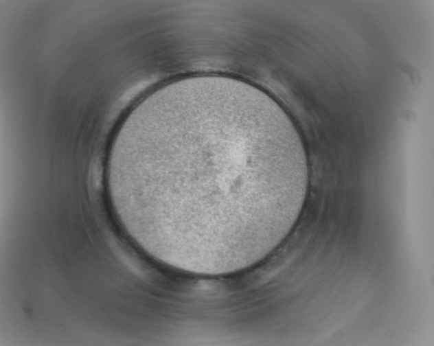 X0000113900060200910221447