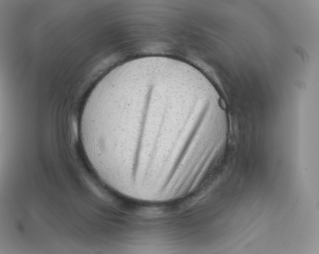 X0000113900061200910221447