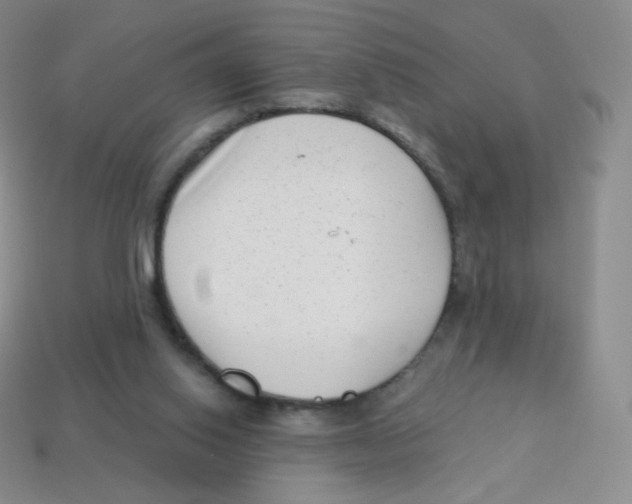 X0000113900062200910221447