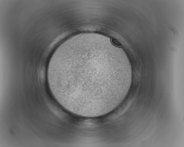 X0000113900064200910221447