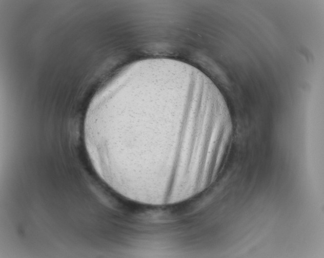 X0000113900065200910221447
