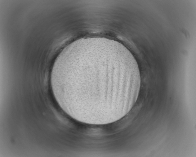 X0000113900066200910221447