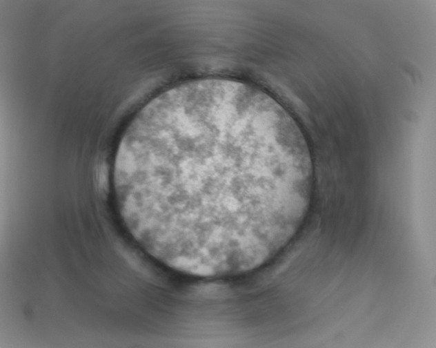 X0000113900067200910221447