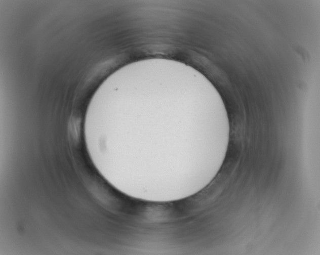 X0000113900070200910221447