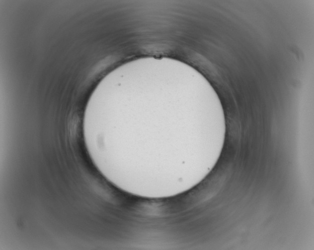 X0000113900071200910221447