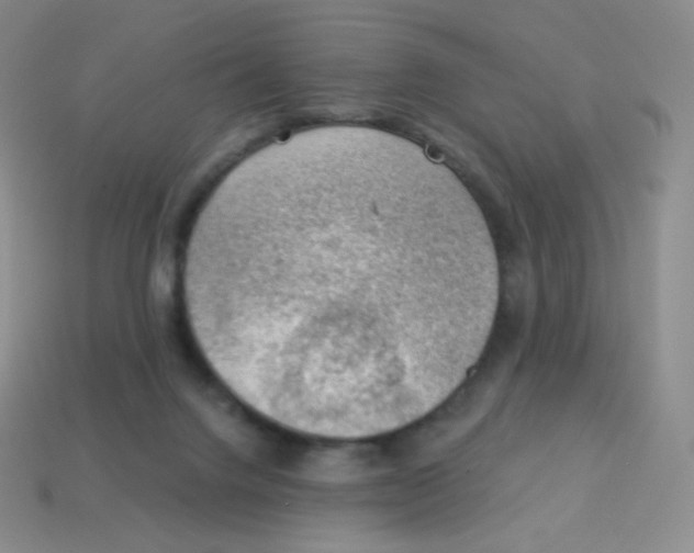 X0000113900072200910221447