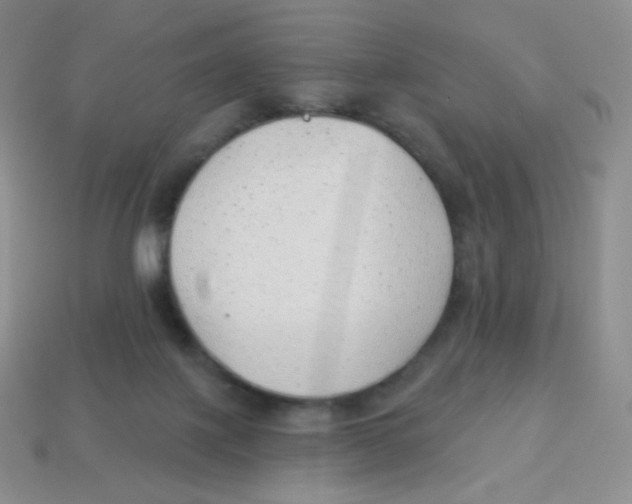 X0000113900075200910221447