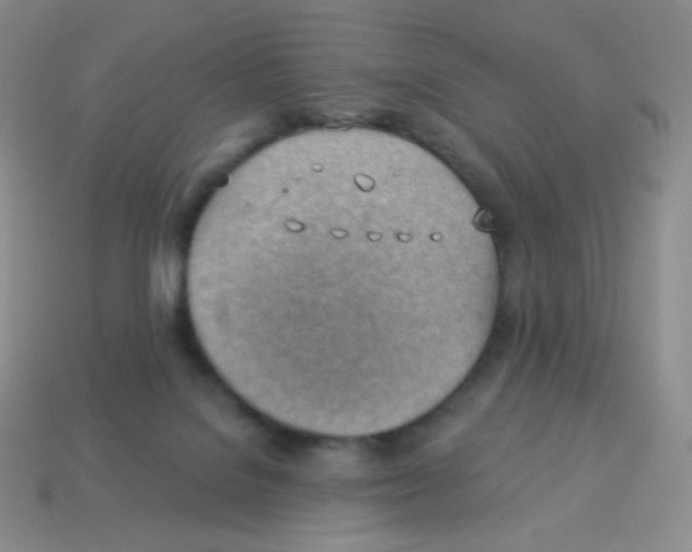 X0000113900076200910221447