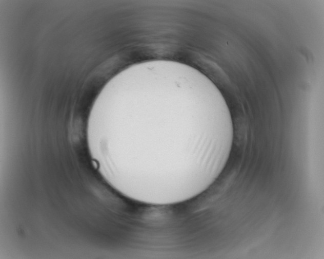 X0000113900077200910221447