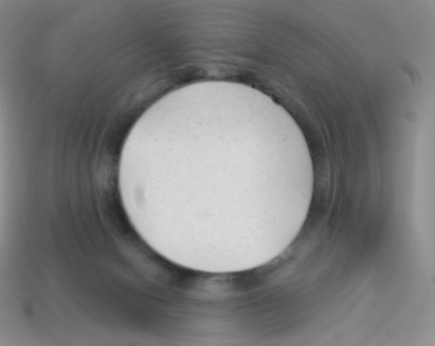 X0000113900078200910221447