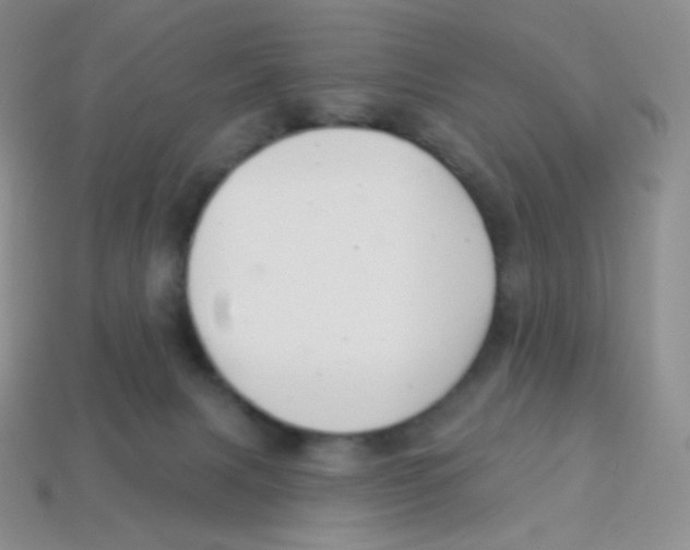 X0000113900079200910221447