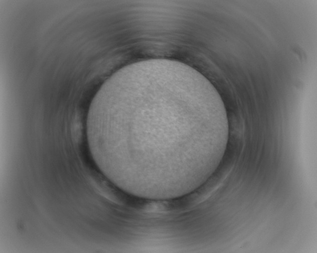X0000113900080200910221447