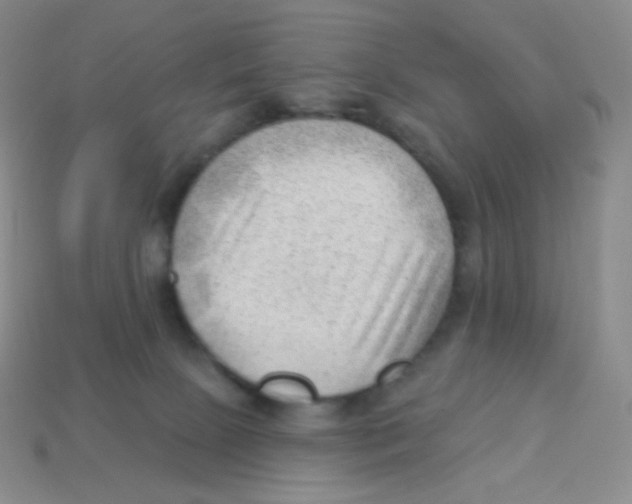 X0000113900081200910221447