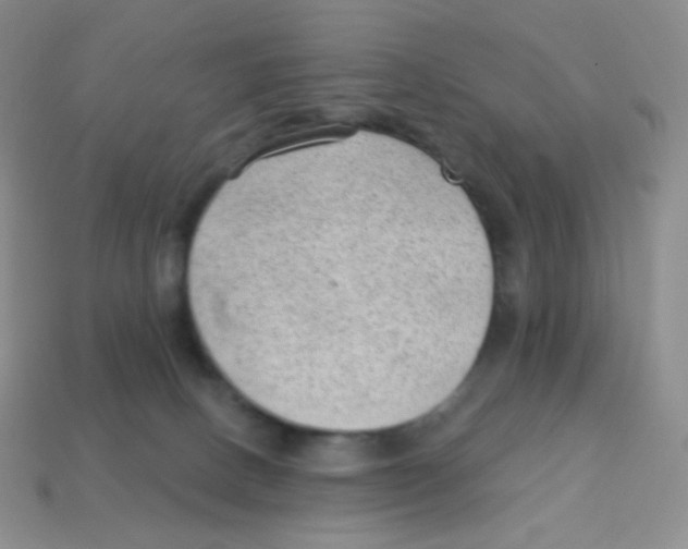 X0000113900082200910221447