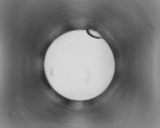 X0000113900083200910221447