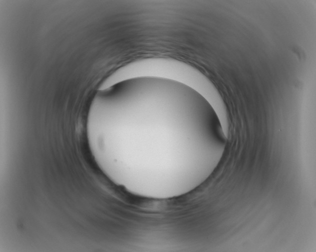 X0000113900084200910221447