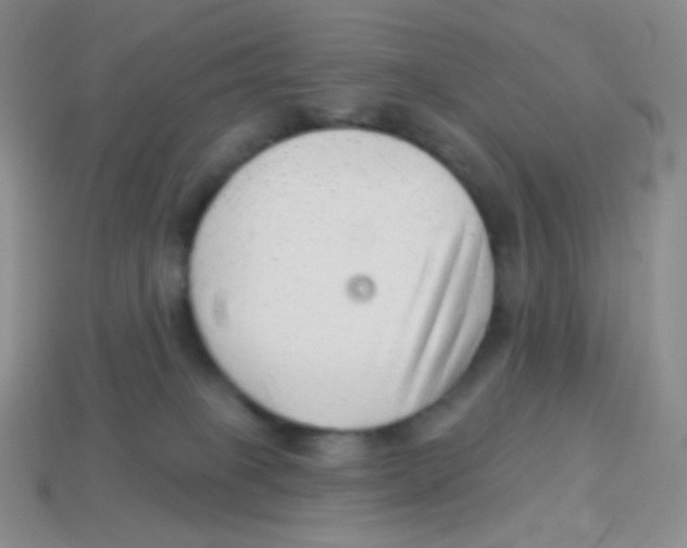 X0000113900085200910221447