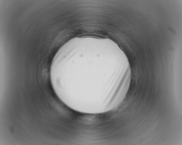 X0000113900086200910221447