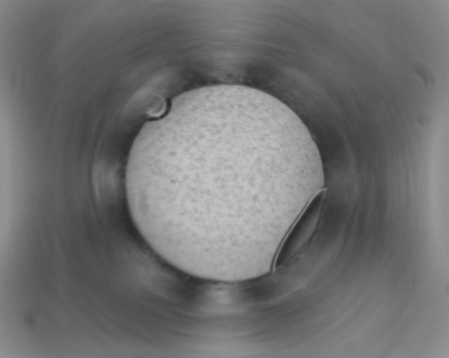 X0000113900088200910221447