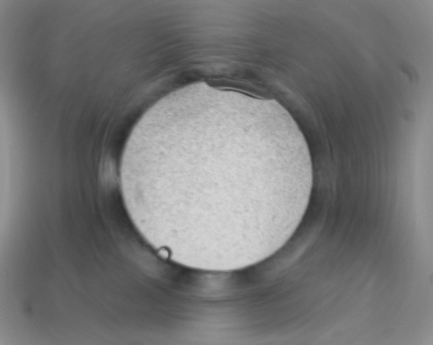 X0000113900089200910221447