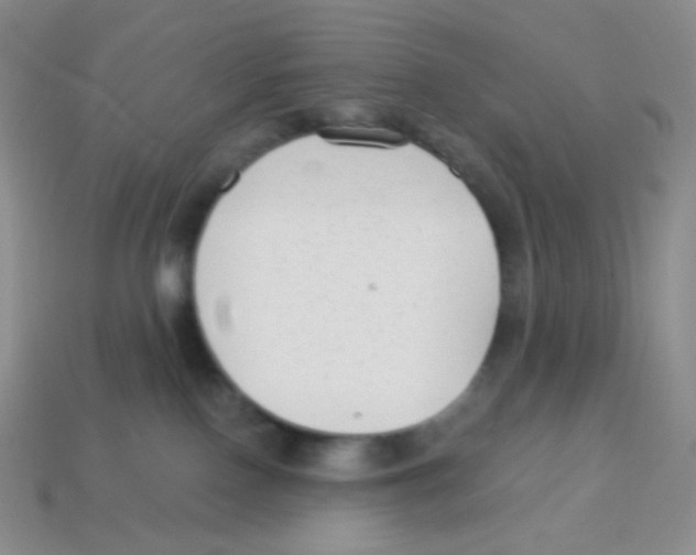 X0000113900090200910221447