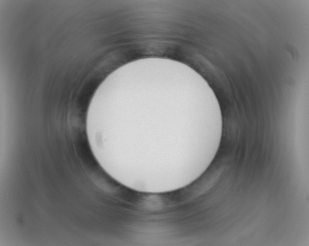 X0000113900091200910221447