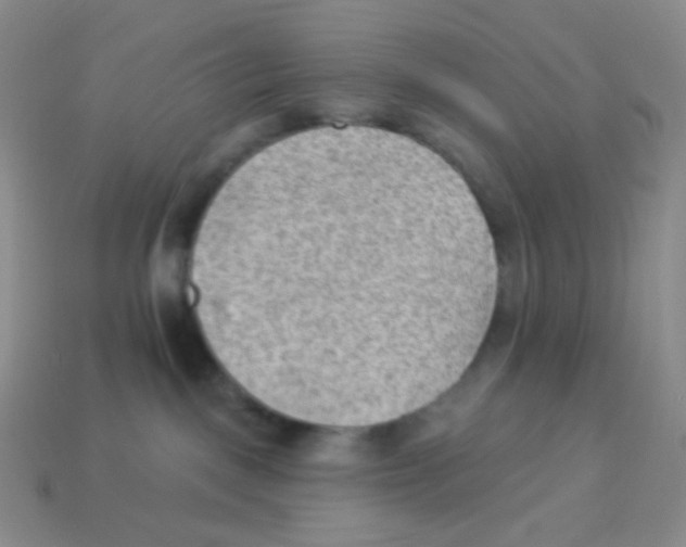 X0000113900093200910221447