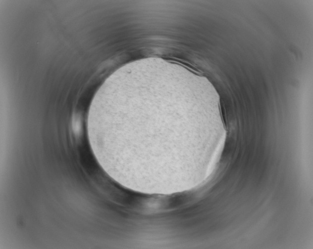 X0000113900094200910221447