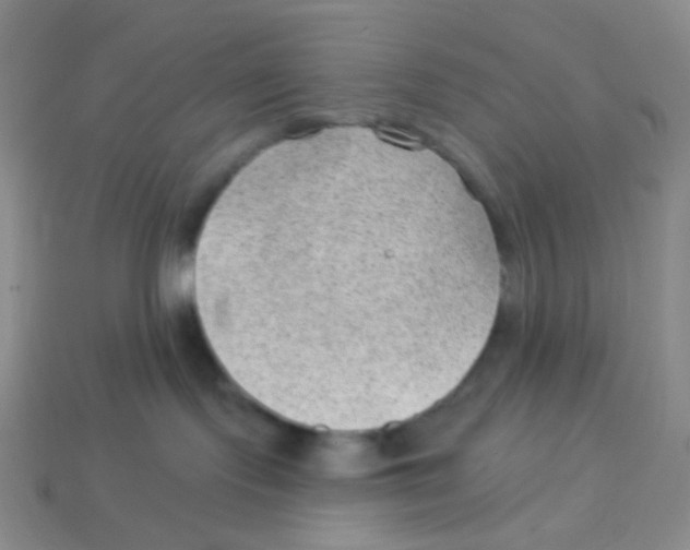 X0000113900095200910221447