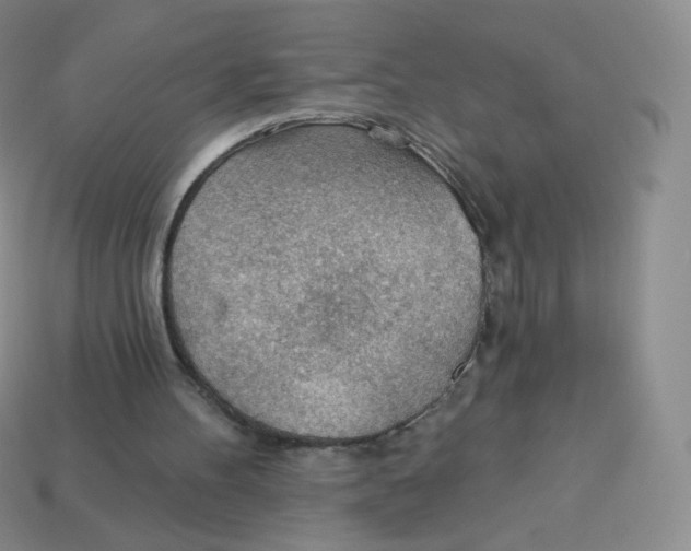 X0000113900100200910221446