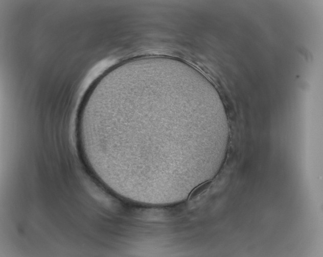 X0000113900104200910221446