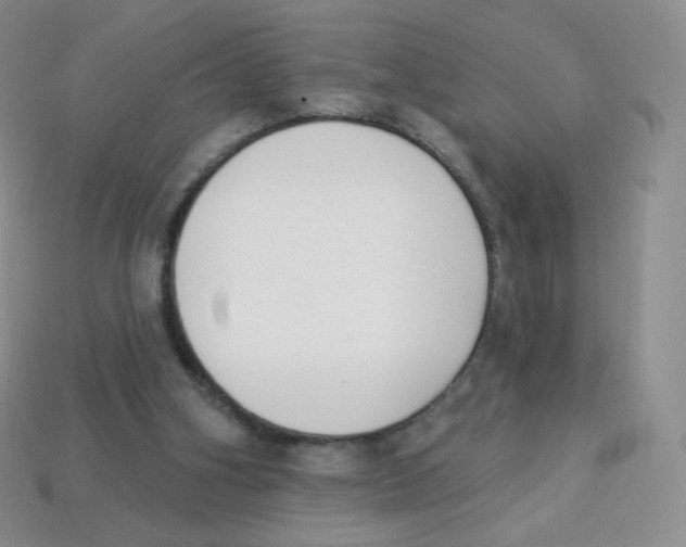 X0000113900106200910221446