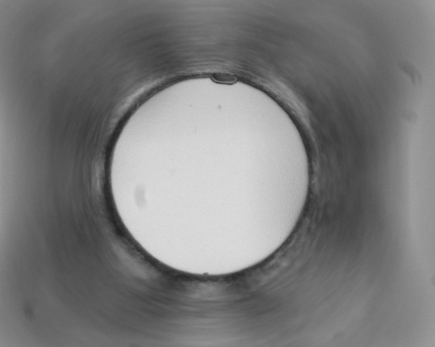 X0000113900107200910221446