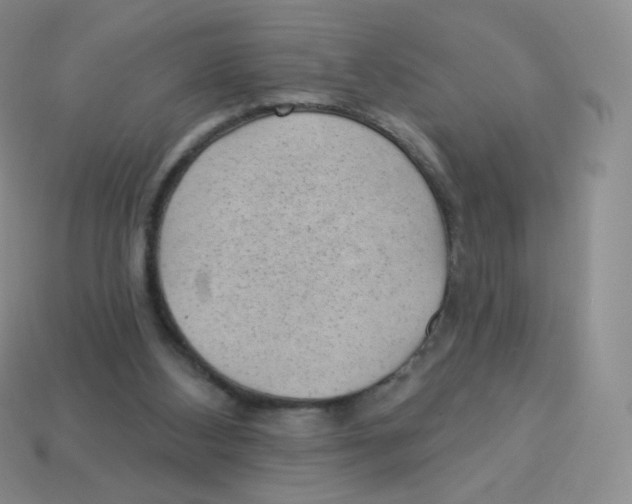 X0000113900108200910221446