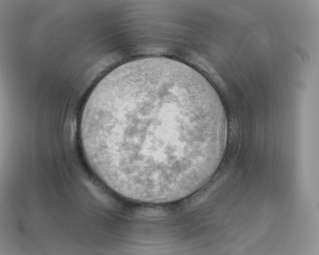 X0000113900110200910221446