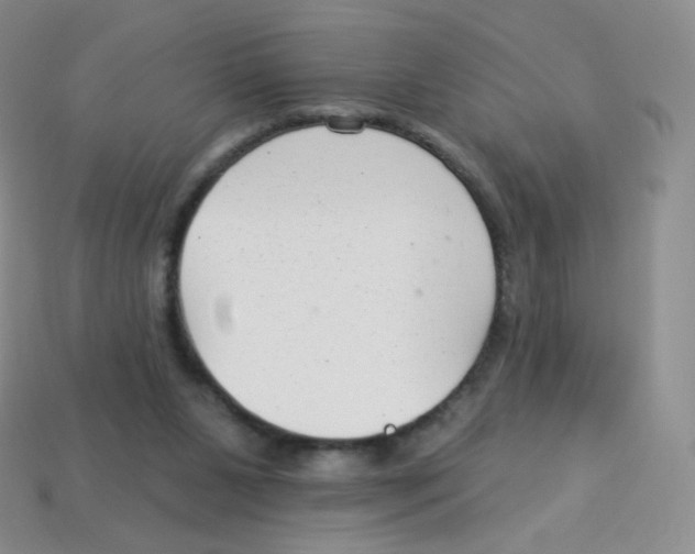 X0000113900111200910221446