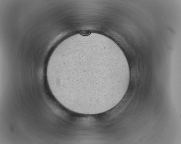 X0000113900112200910221446