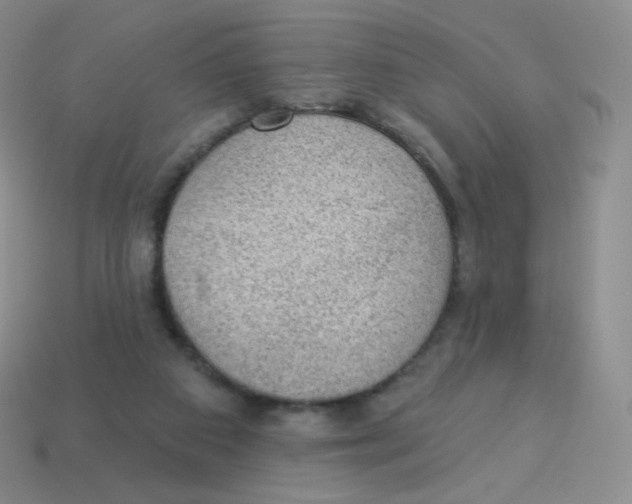 X0000113900113200910221446