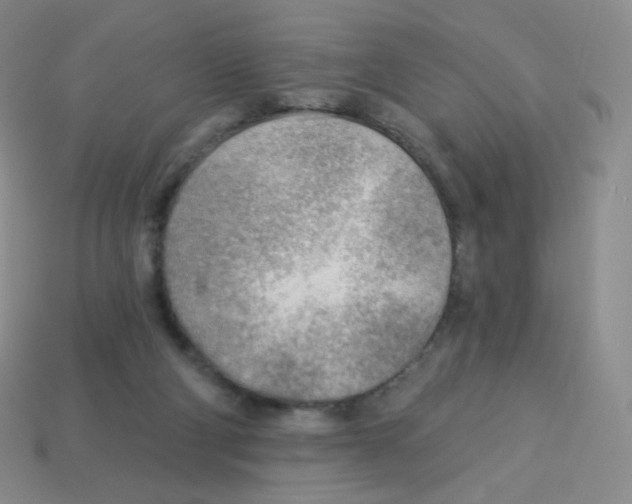 X0000113900114200910221446