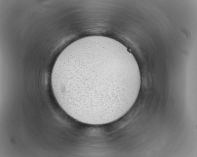 X0000113900115200910221446