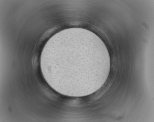 X0000113900116200910221446