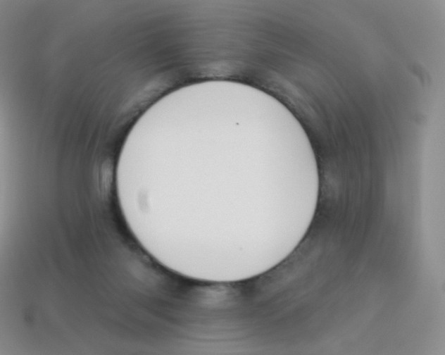 X0000113900118200910221446