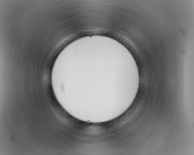 X0000113900119200910221446
